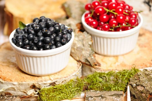 Wild berries in bowls - blueberry, redcurrant