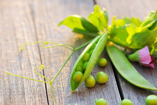 Fresh green peas pods on a wooden table