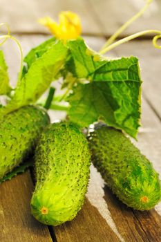 Cucumber with leafs on wooden table