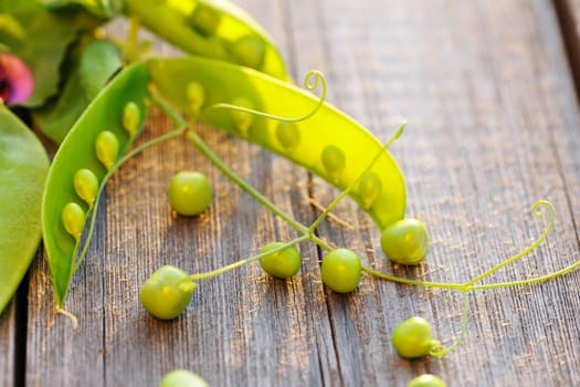 Fresh green peas pods on a wooden table