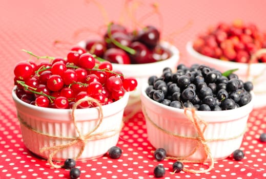 Wild berries in bowls - blueberry, redcurrant, cherry, strawberry
