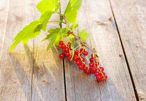 Redcurrant with leafs on wooden table