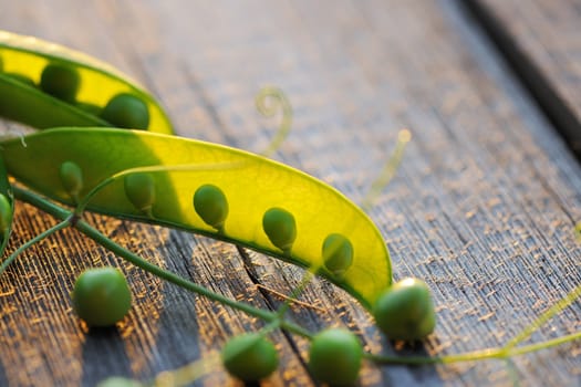 Fresh green peas pods on a wooden table