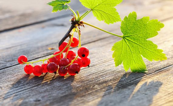 Redcurrant with leafs on wooden table
