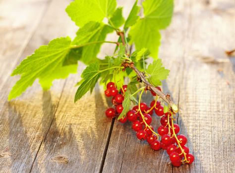 Redcurrant with leafs on wooden table