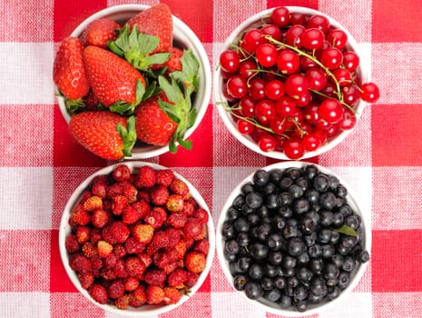 Wild berries in bowls - blueberry, redcurrant, strawberry