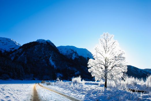 A road through beautiful winter landscape in norway