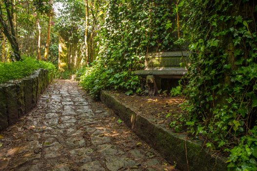 A stone path winding through a park in Bogota, Colombia
