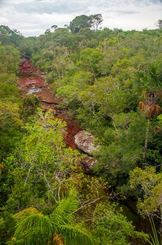 The beautiful colors of Cano Cristales in Colombia.