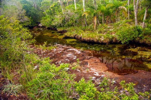 A red Colombian river deep within a jungle.