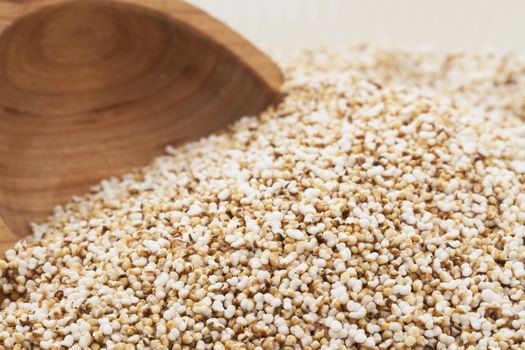 Home popped amaranth seeds with booden spoon.