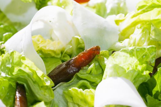 Fresh healthy salad with dates and jicama or parsnip