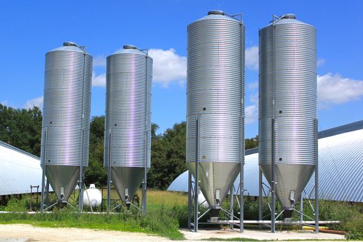 shed and grain elevators for raising chickens