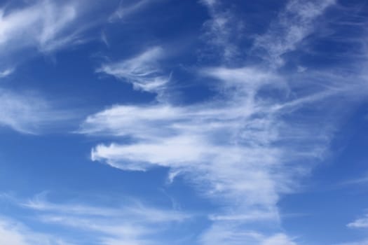 photograph of Cirrus, clouds in a blue sky