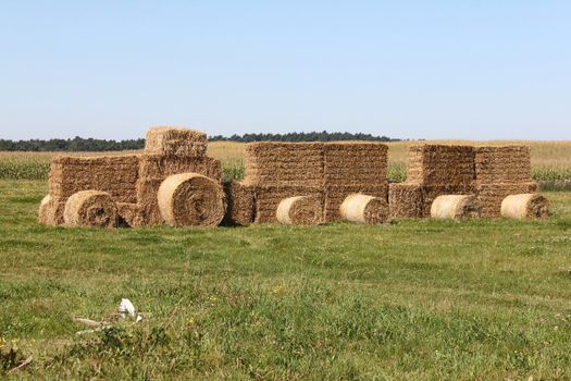 a tractor in a field of straw bales