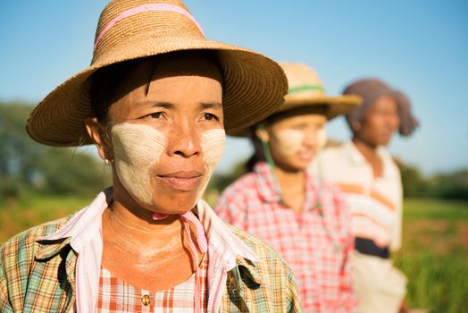Myanmar farmer standing in row and looking away