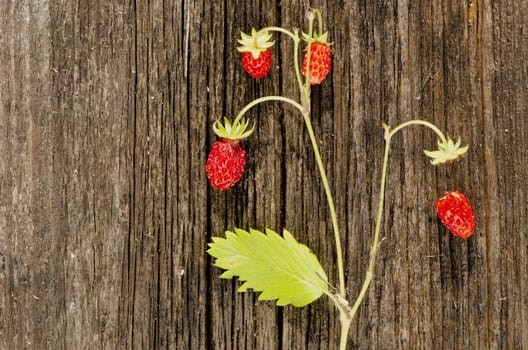 wild strawberry on old wooden plank background