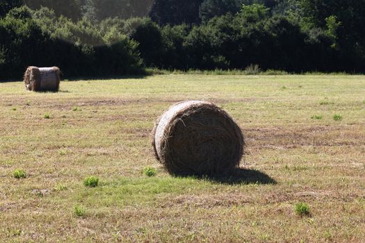 harvested field with two hay bales on the edge