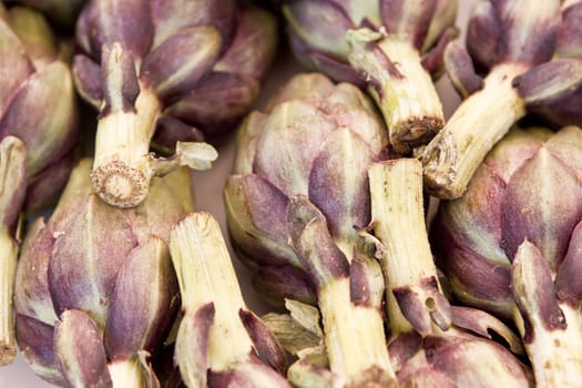 fresh healthy artichoke plant macro vegetarian vegetable
