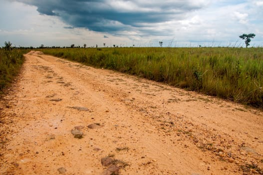 A dirt road built by FARC rebels in the Colombian plains