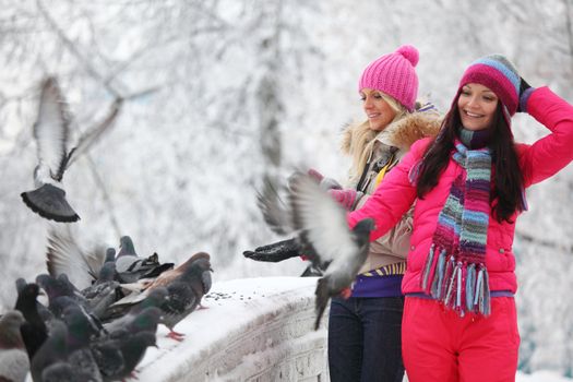 winter women give food to the pigeon