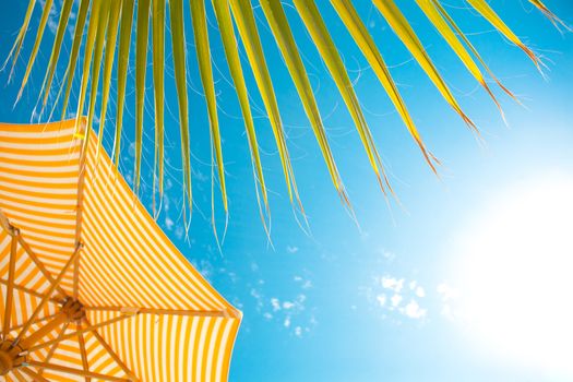 background with palm leaf, parasol and sun