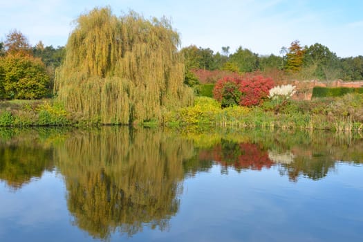 Garden lake in Autumn