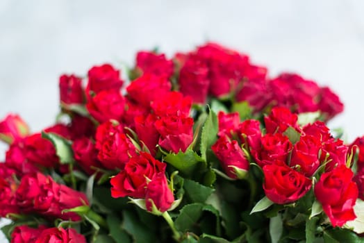 bouquet of red roses shot in shallow DOF