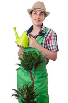 Girl watering plants on white