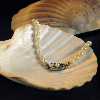 studio shot of a necklace with natural pearls decorated on seashell in black back