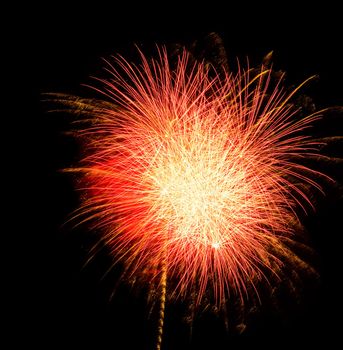 beautiful red firework in the black sky