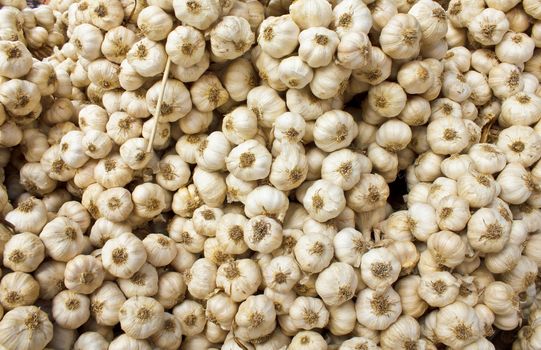 Stock Photo - Heap of Garlic