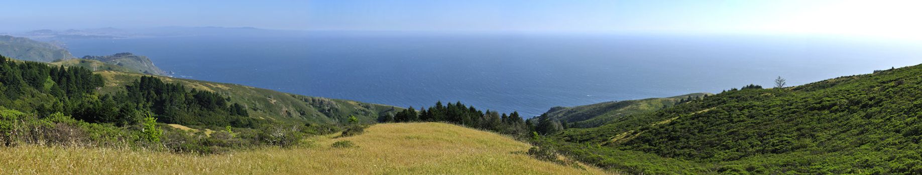 Panoramic view of Pacific Ocean from Muir Woods in California