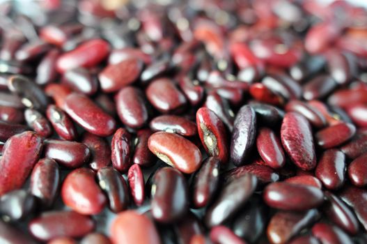 Macro view of red kidney beans