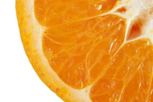 Close up image of orange