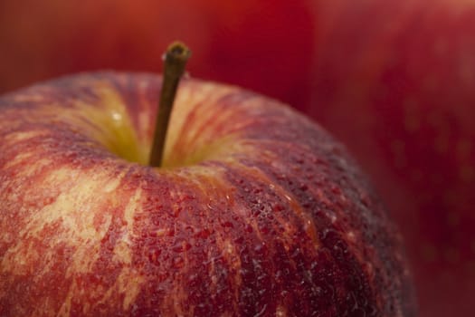 Fresh apple