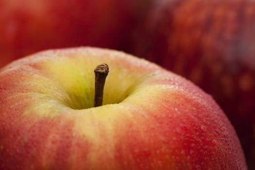 Fresh apple
