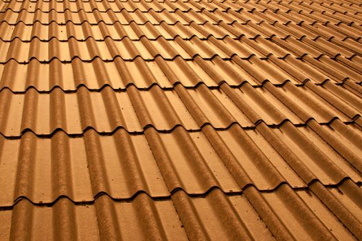 shiny roof after rain sunset light