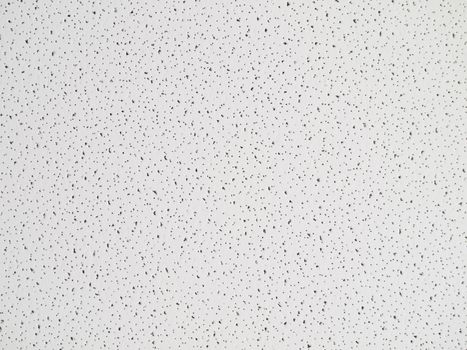 common cellulose ceiling tile. Interesting texture that can be used as background. 