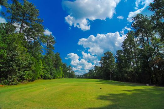 golf course landscape