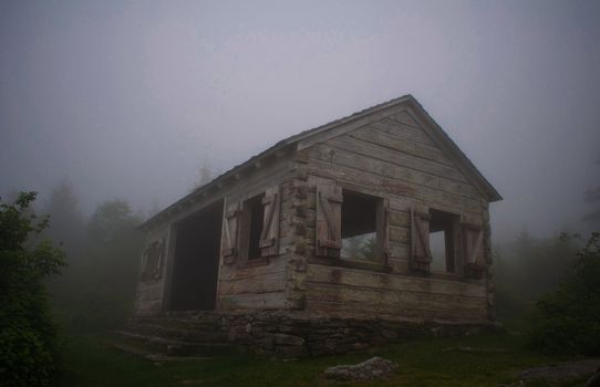 log cabin in forest