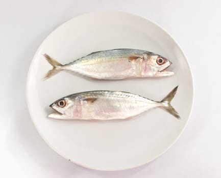 Two fish  on white plate on white background