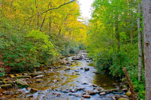 mountain streams