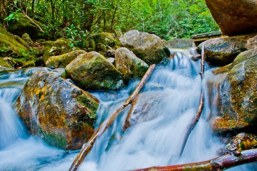 mountain streams