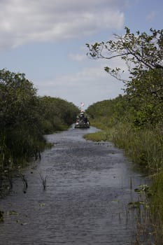 An air boat in the Everglades National Park