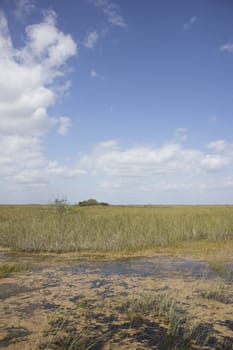 Everglades National Park in the summer.