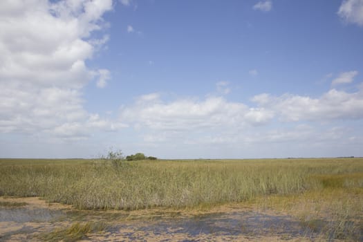 Everglades National Park in the summer.