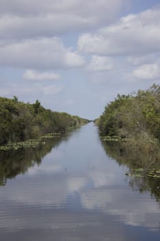 Everglades National Park in the summer.