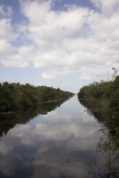 Everglades National Park in the summer.