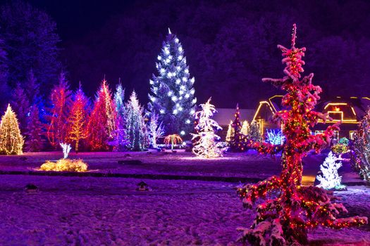 Christmas fantasy - park & forest in xmas lights, Croatia
